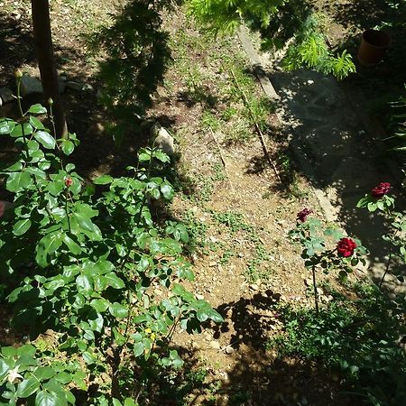 La Villa Nei Fiori Firenze Eksteriør billede